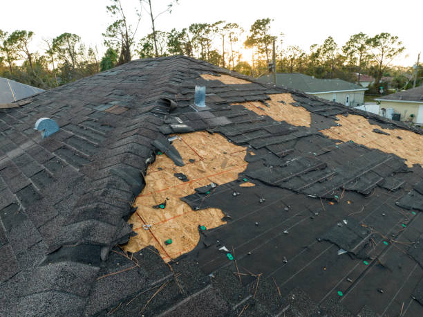 Best Slate Roofing  in Riverview, MI