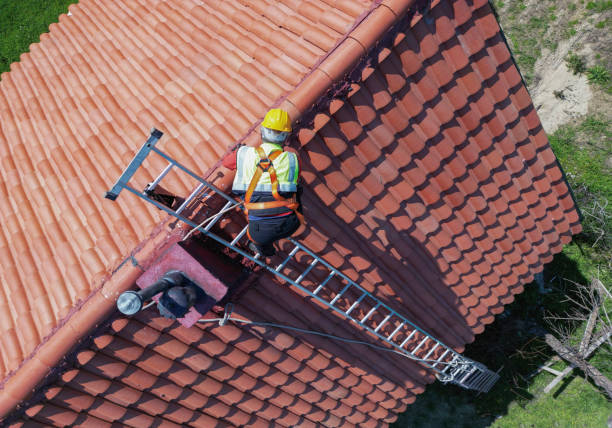 Best Emergency Roof Repair Services  in Riverview, MI